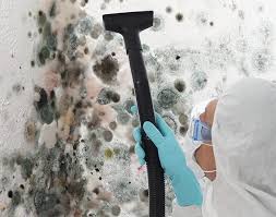 Mold Remediation for Rental Properties